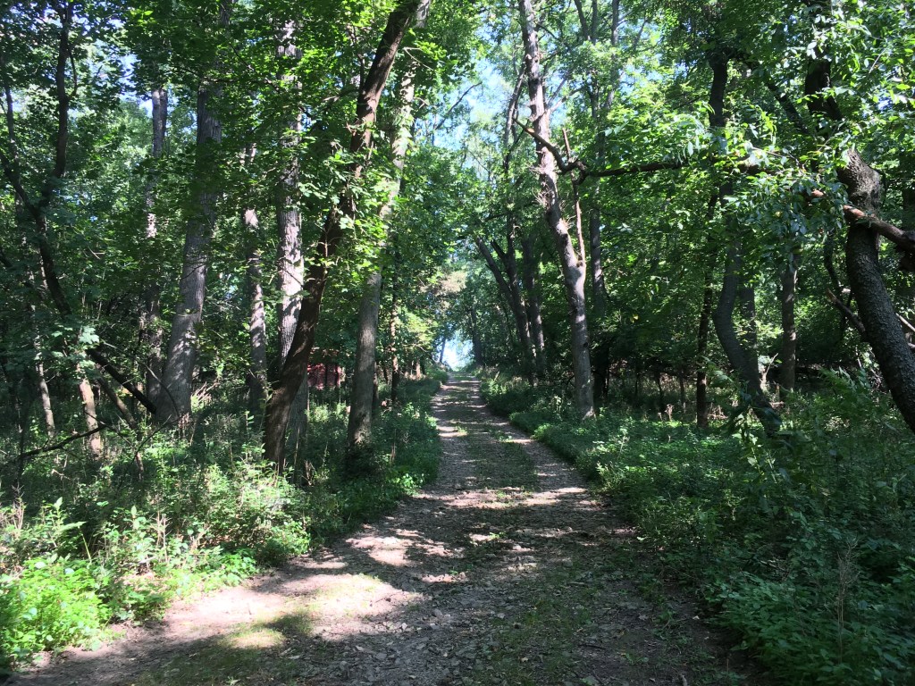 The Last Hurrah: A Camp Grow&nbsp;Story